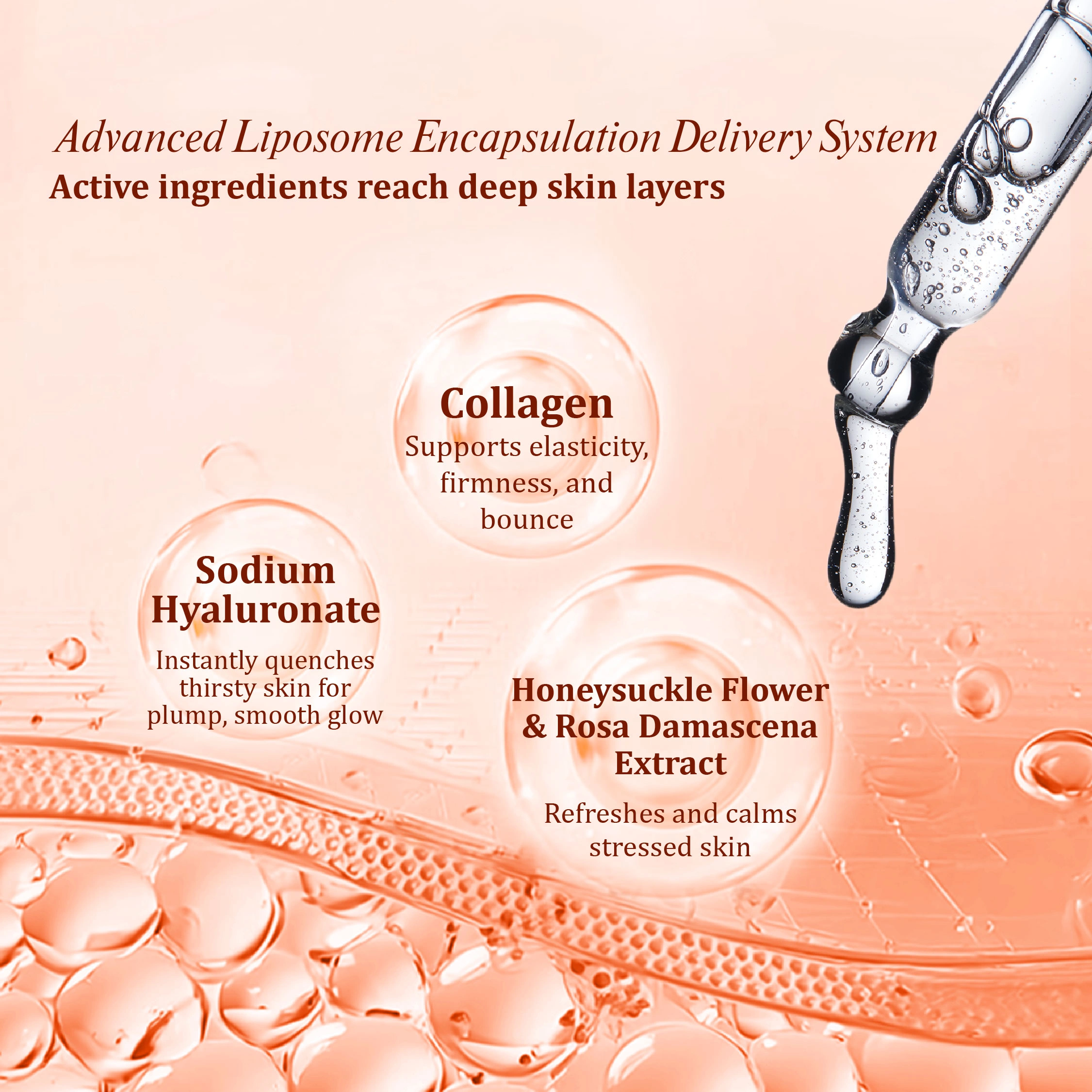 Réveillé | Intensive Calibration Serum (30ml)